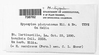 Annulohypoxylon stygium image